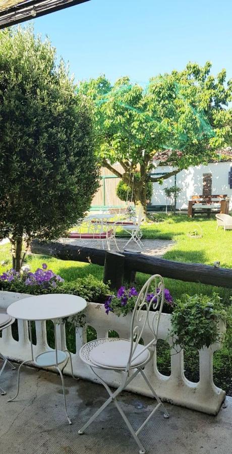 Bed and Breakfast Il Segreto Di Shabel Settimo Torinese Exterior foto